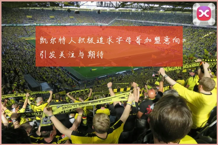 凯尔特人积极追求字母哥加盟意向引发关注与期待